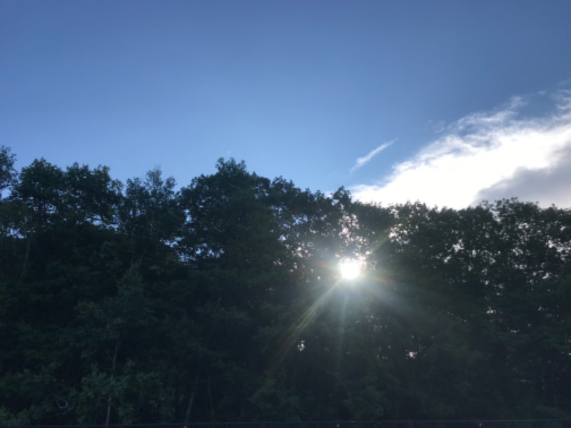 tacchy 魔都サッポロがスキすぎるさんのスポーツアカデミー ブランチ 札幌月寒のサ活写真