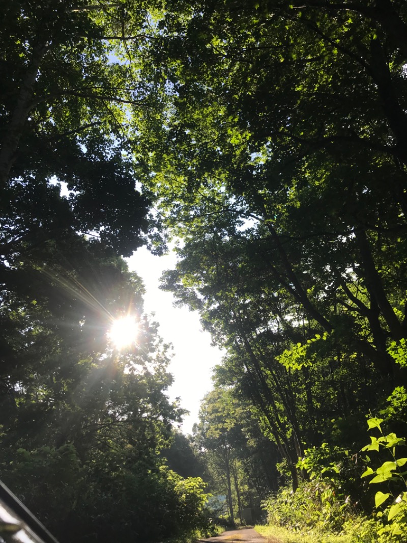 tacchy 魔都サッポロがスキすぎるさんのスポーツアカデミー ブランチ 札幌月寒のサ活写真