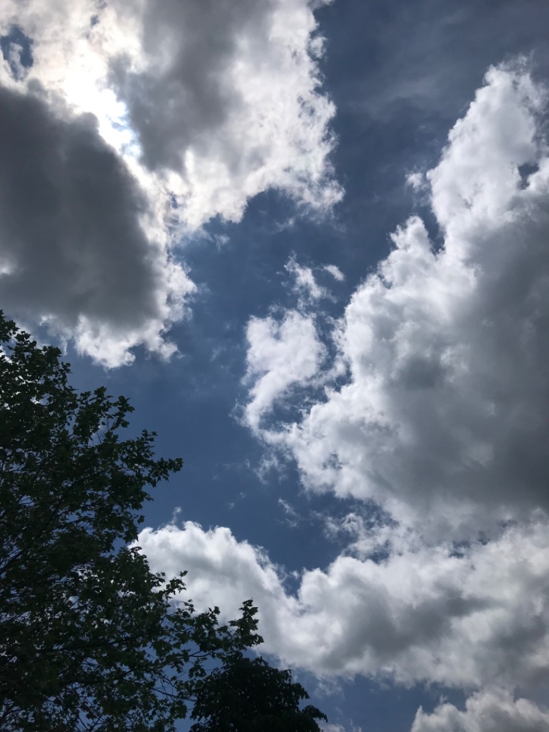 tacchy 魔都サッポロがスキすぎるさんのスポーツアカデミー ブランチ 札幌月寒のサ活写真