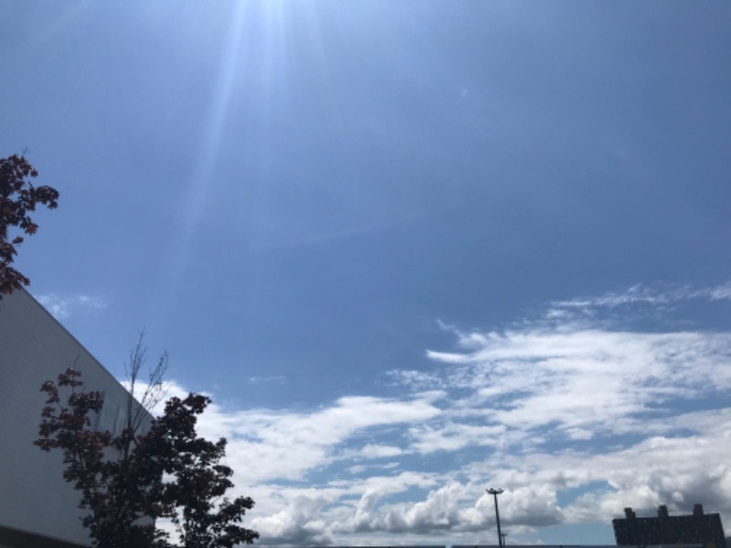 tacchy 魔都サッポロがスキすぎるさんのスポーツアカデミー ブランチ 札幌月寒のサ活写真