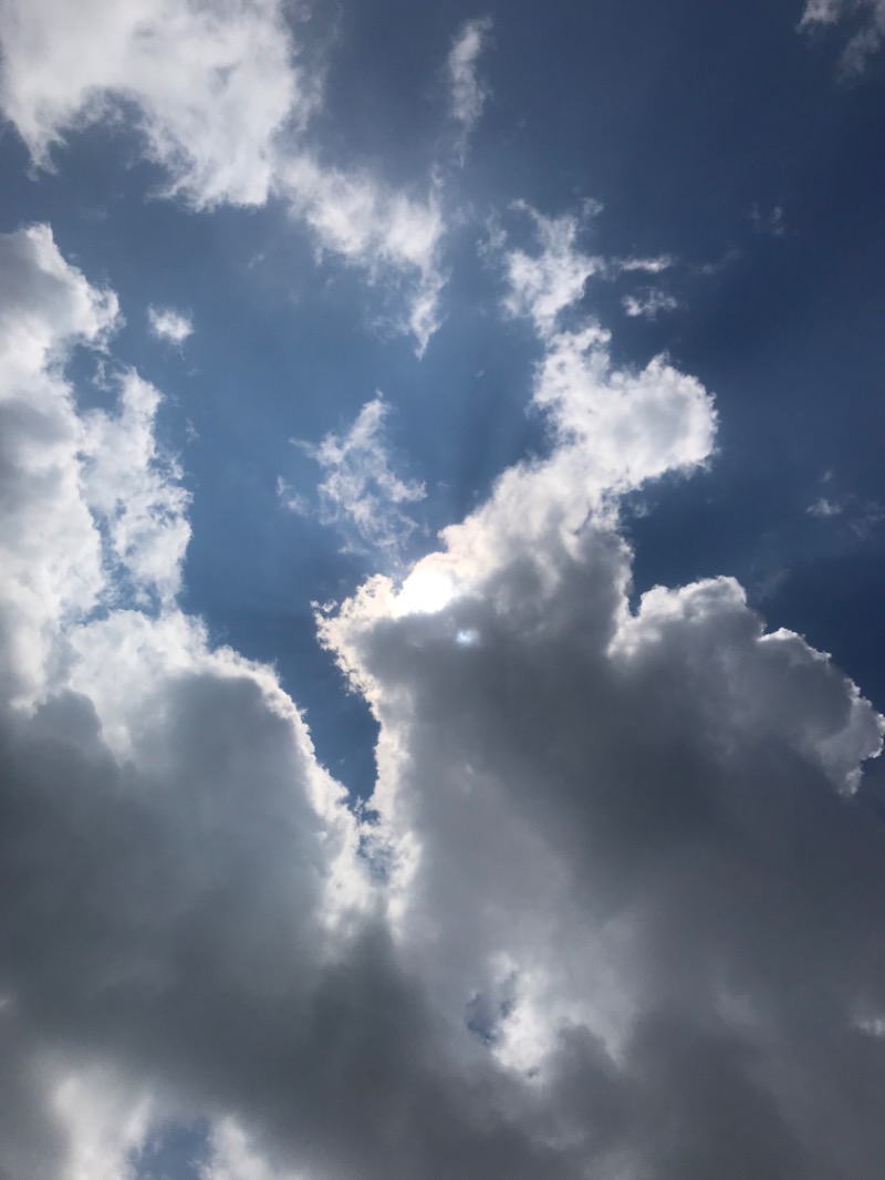 tacchy 魔都サッポロがスキすぎるさんのスポーツアカデミー ブランチ 札幌月寒のサ活写真