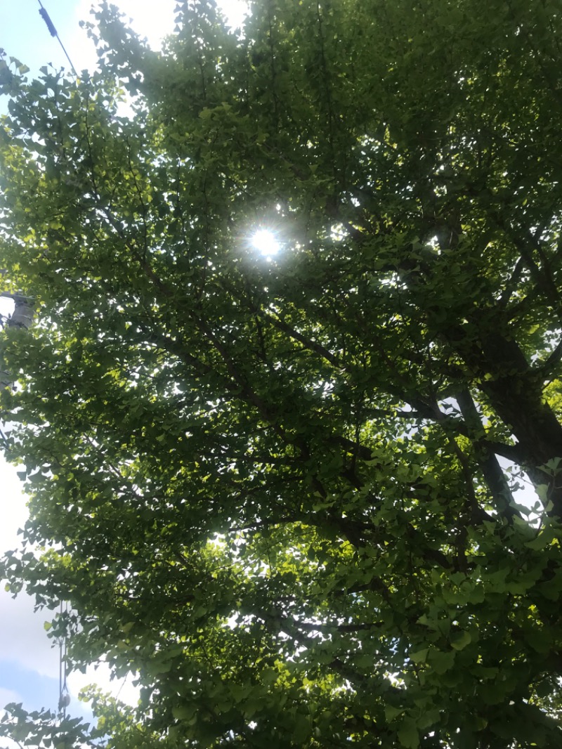 tacchy 魔都サッポロがスキすぎるさんのスポーツアカデミー ブランチ 札幌月寒のサ活写真