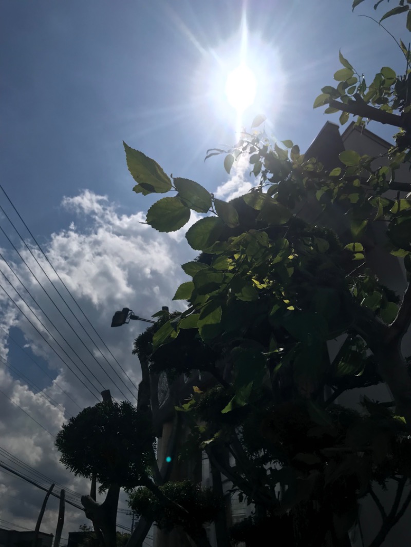 tacchy 魔都サッポロがスキすぎるさんのスポーツアカデミー ブランチ 札幌月寒のサ活写真