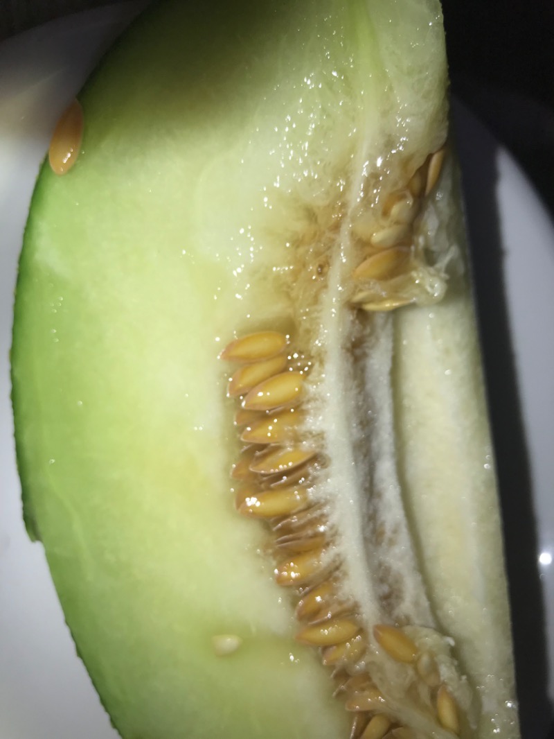 tacchy 魔都サッポロがスキすぎるさんのスポーツアカデミー ブランチ 札幌月寒のサ活写真