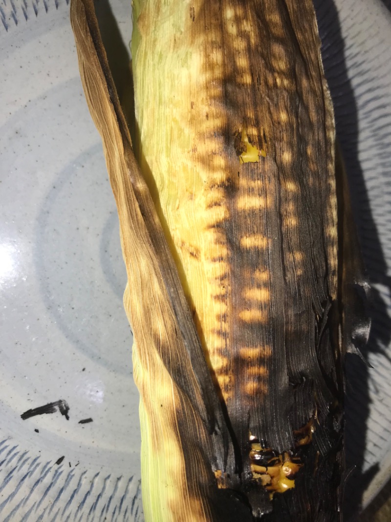 tacchy 魔都サッポロがスキすぎるさんのスポーツアカデミー ブランチ 札幌月寒のサ活写真