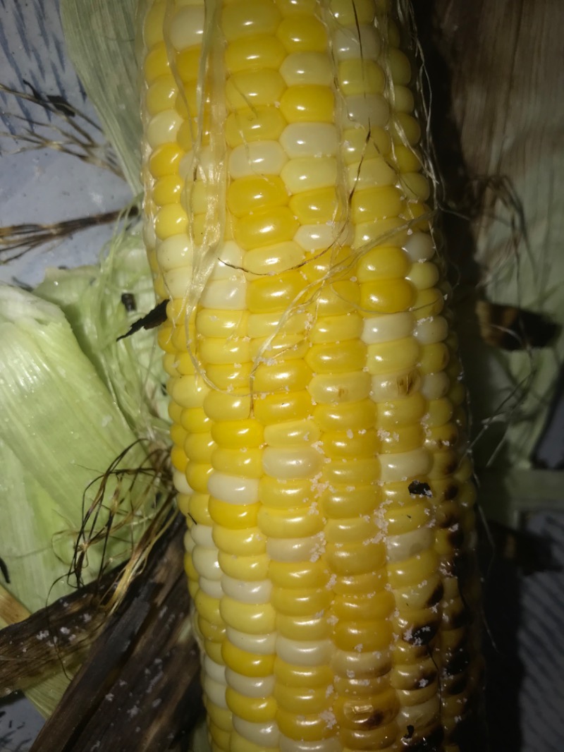 tacchy 魔都サッポロがスキすぎるさんのスポーツアカデミー ブランチ 札幌月寒のサ活写真