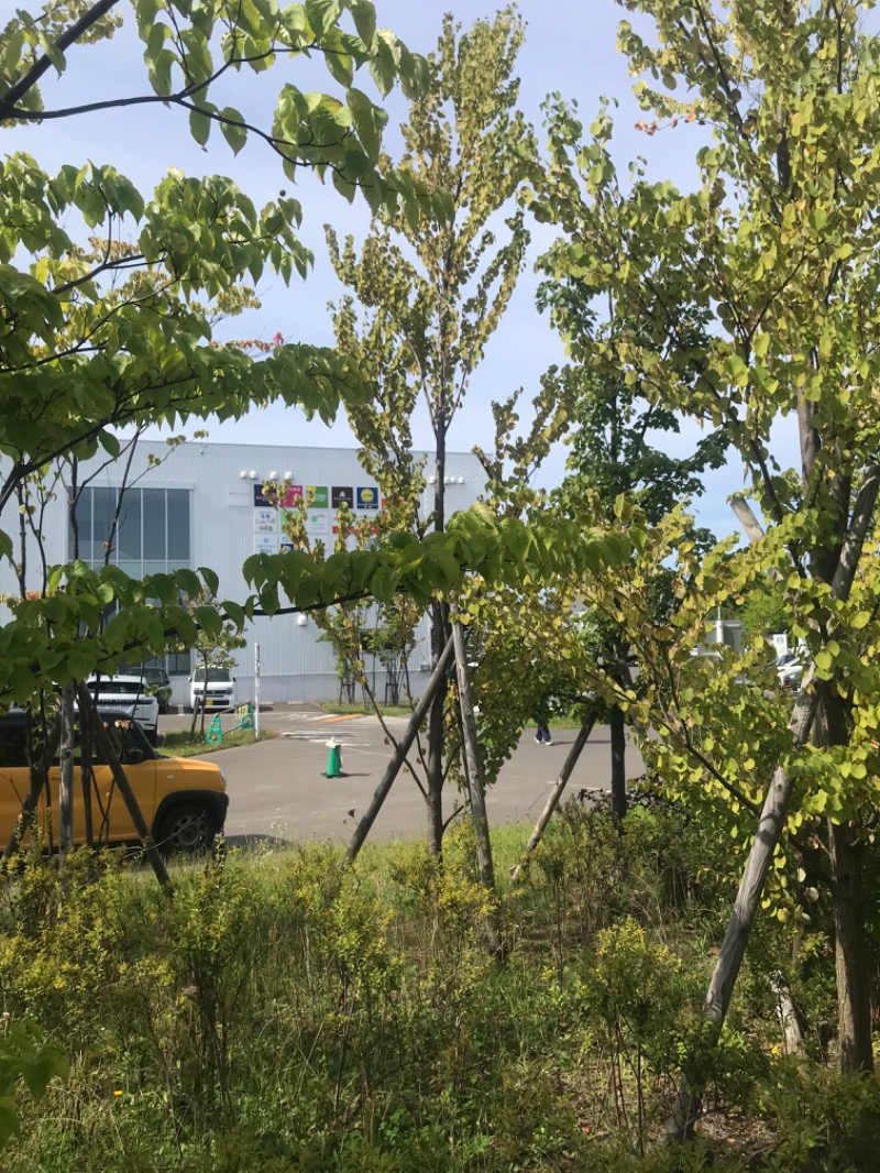 tacchy 魔都サッポロがスキすぎるさんのスポーツアカデミー ブランチ 札幌月寒のサ活写真