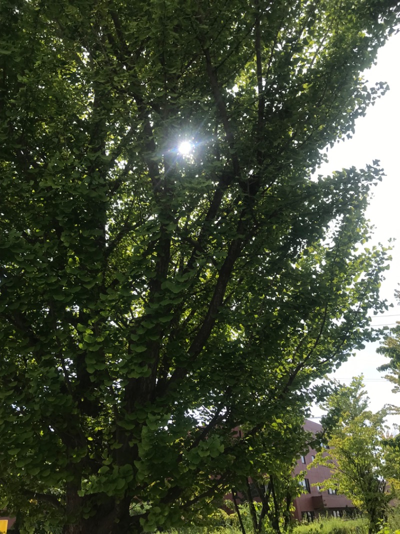 tacchy 魔都サッポロがスキすぎるさんのスポーツアカデミー ブランチ 札幌月寒のサ活写真