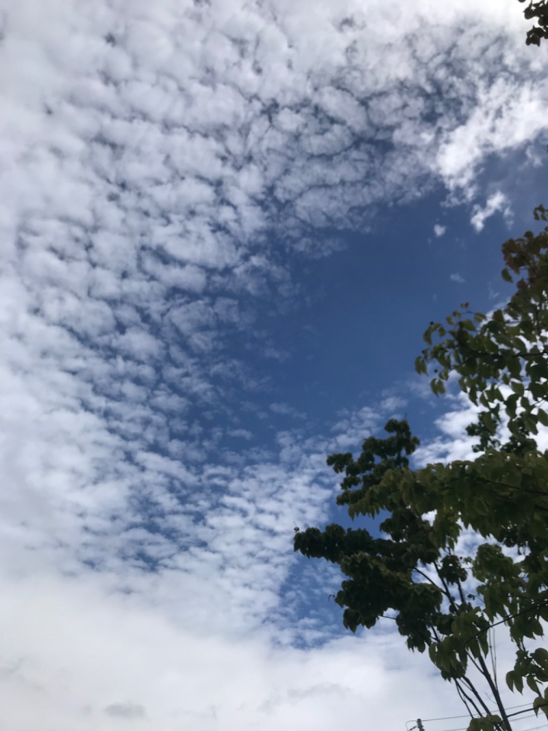 tacchy 魔都サッポロがスキすぎるさんのスポーツアカデミー ブランチ 札幌月寒のサ活写真