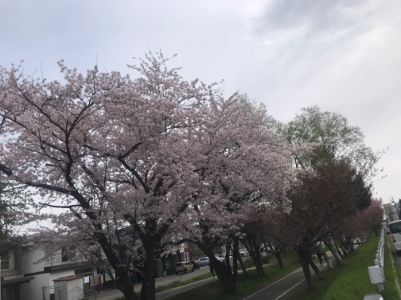 tacchy 魔都サッポロがスキすぎるさんのザ・センチュリオンサウナレスト&ステイ札幌のサ活写真