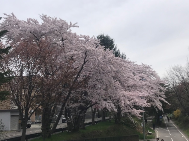 tacchy 魔都サッポロがスキすぎるさんのザ・センチュリオンサウナレスト&ステイ札幌のサ活写真