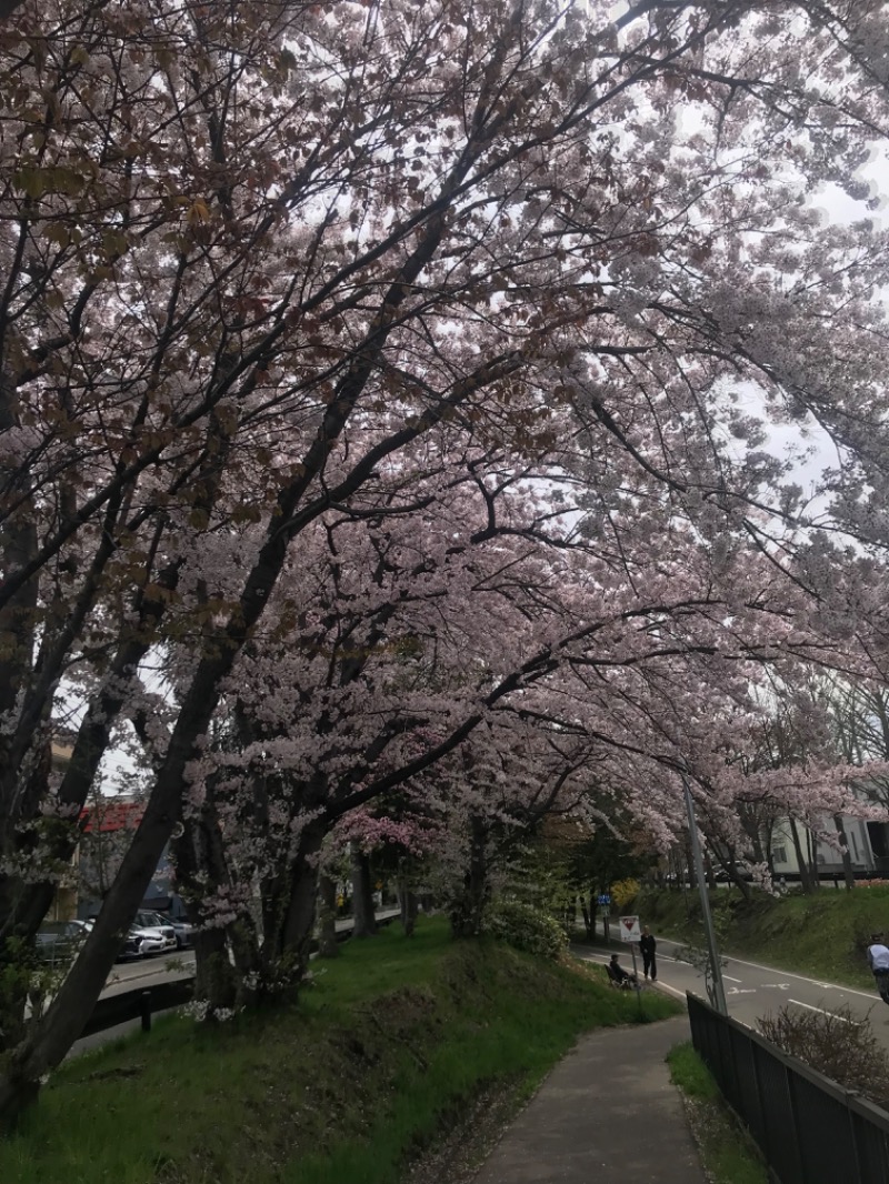 tacchy 魔都サッポロがスキすぎるさんのザ・センチュリオンサウナレスト&ステイ札幌のサ活写真