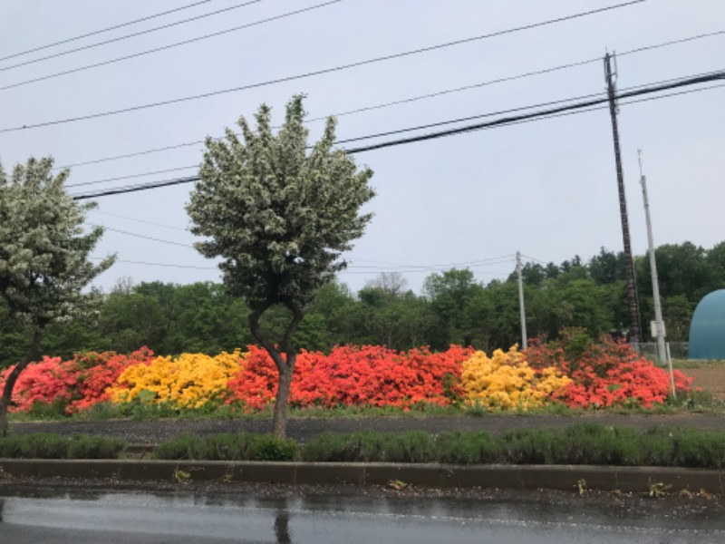tacchy 魔都サッポロがスキすぎるさんの吹上温泉保養センター 白銀荘のサ活写真