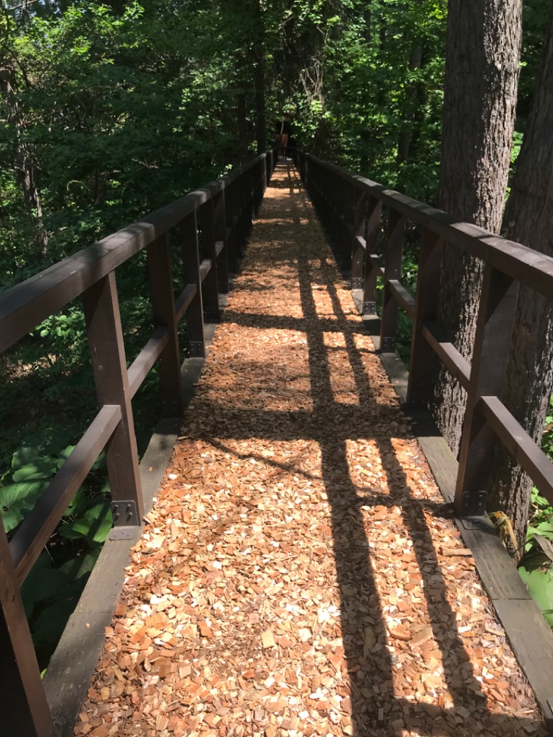 tacchy 魔都サッポロがスキすぎるさんの吹上温泉保養センター 白銀荘のサ活写真