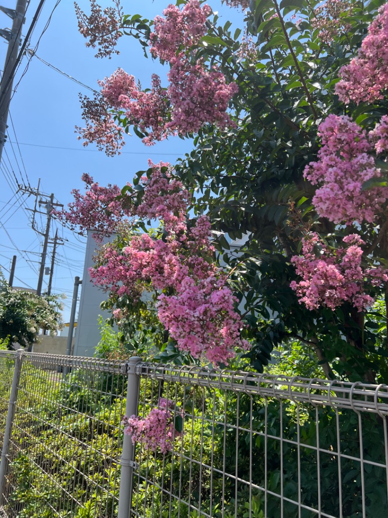 もさんの湯の泉 東名厚木健康センターのサ活写真