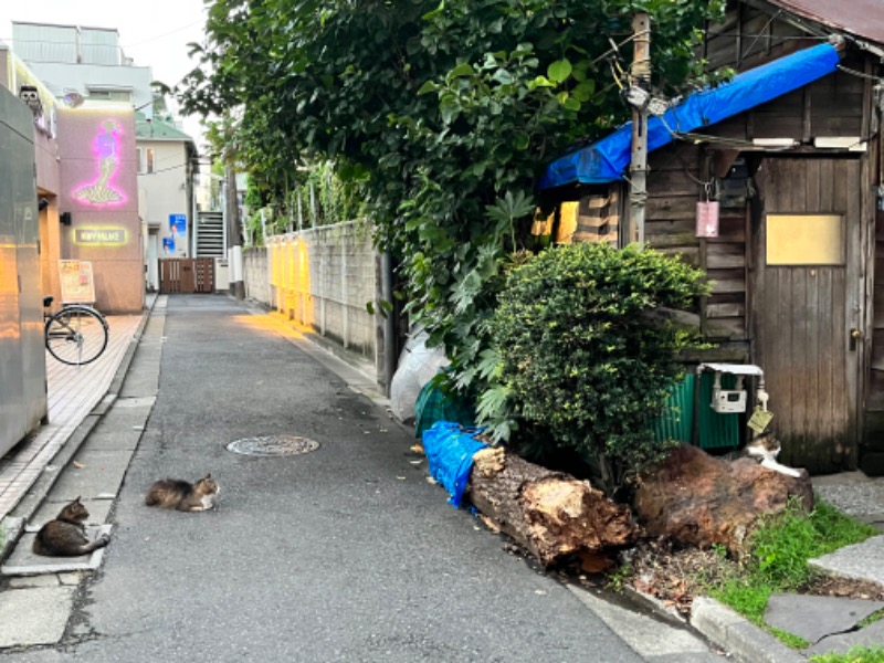 サウナ〜ちゃんえみさんのルビーパレス・レディスサウナのサ活写真