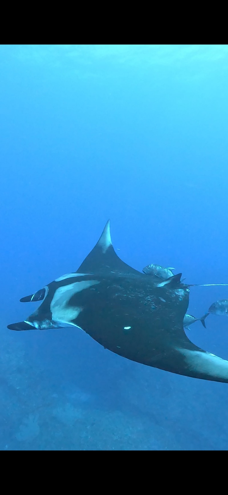 こさんの天然温泉 りっかりっか湯のサ活写真