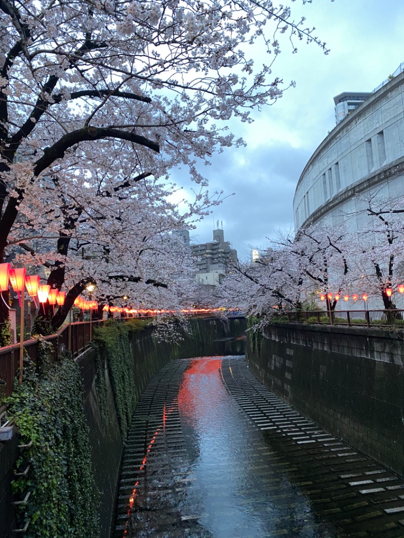 おんねりねんさんの文化浴泉のサ活写真