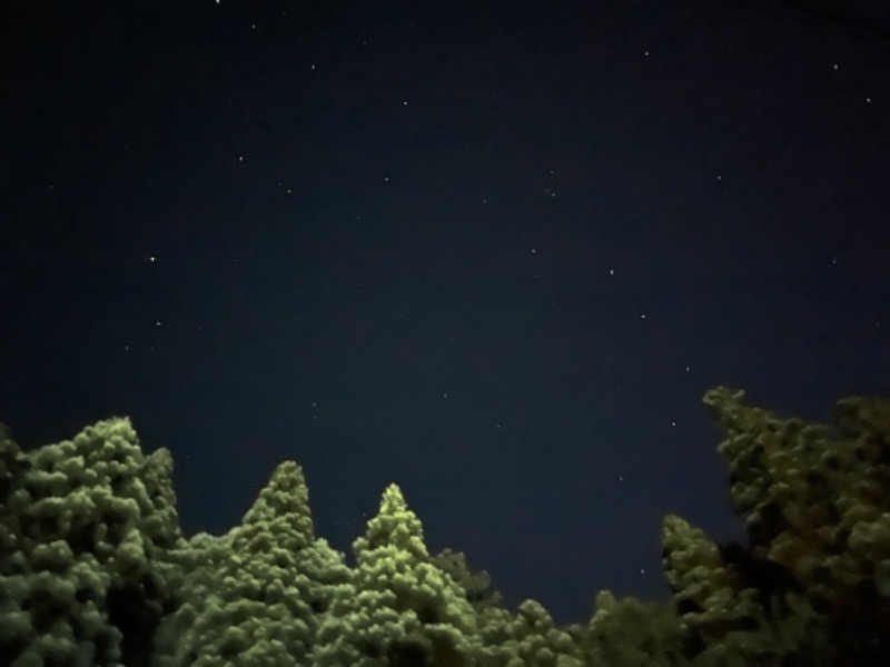 CHIEさんの加護坊温泉 さくらの湯のサ活写真