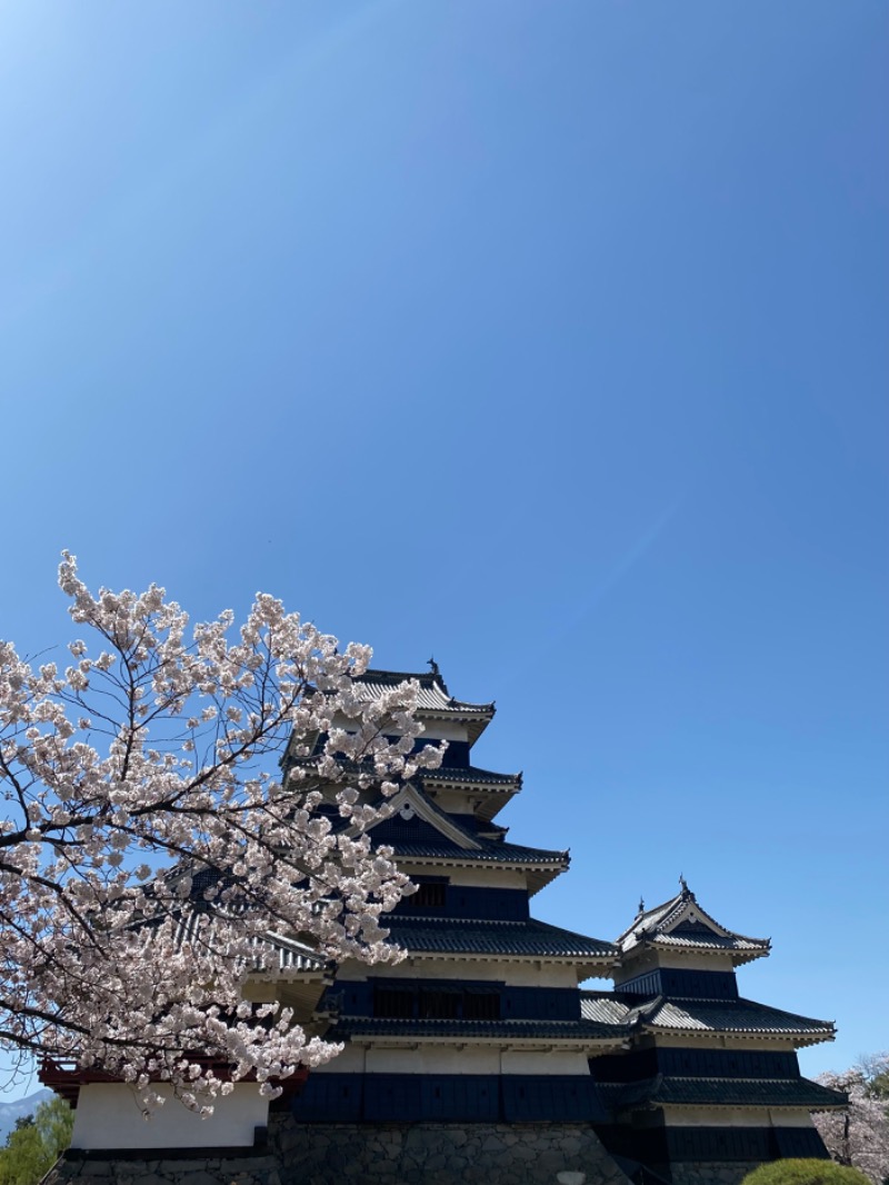 スチームゴリラさんの土岐 よりみち温泉のサ活写真