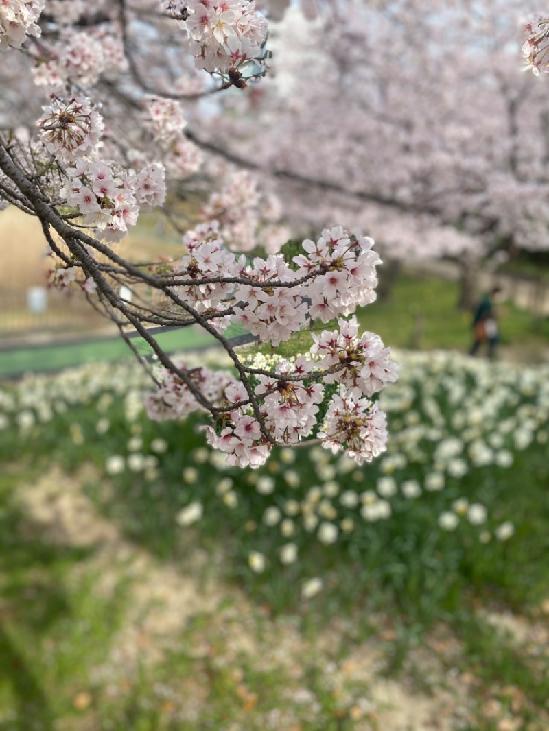スチームゴリラさんの名東温泉 花しょうぶのサ活写真