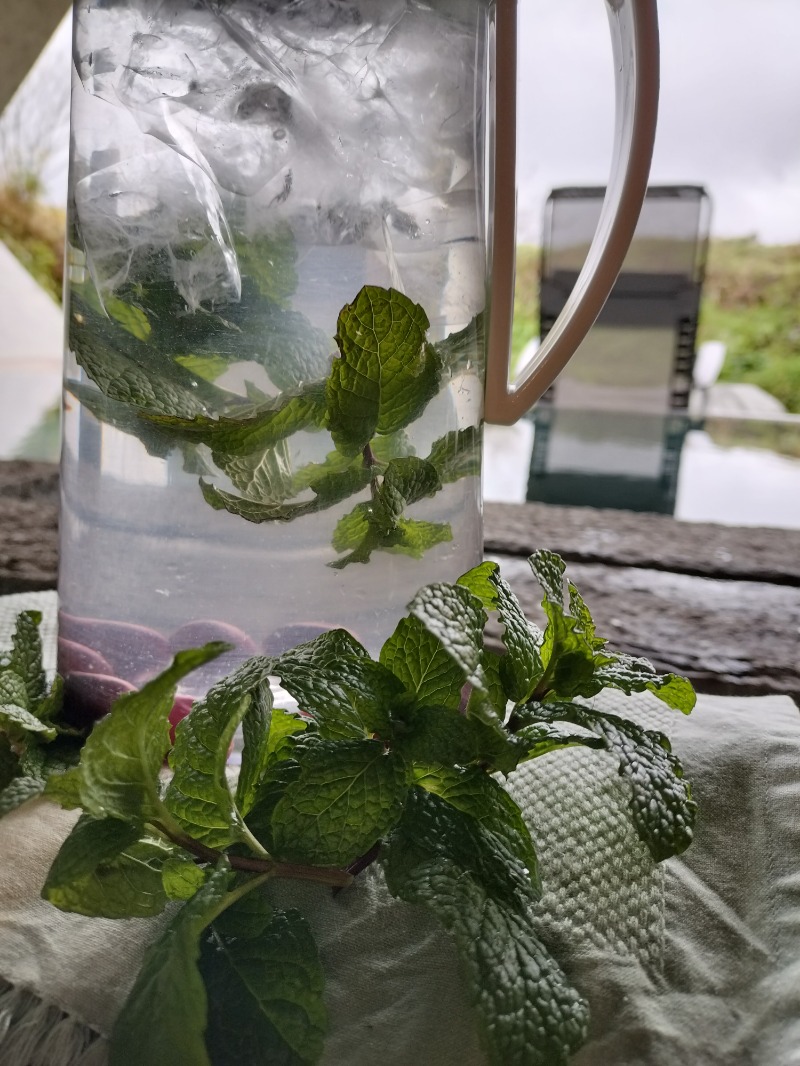 キク🌿CoHoKa（コホカ）@富山さんのThe Hive SAUNAのサ活写真