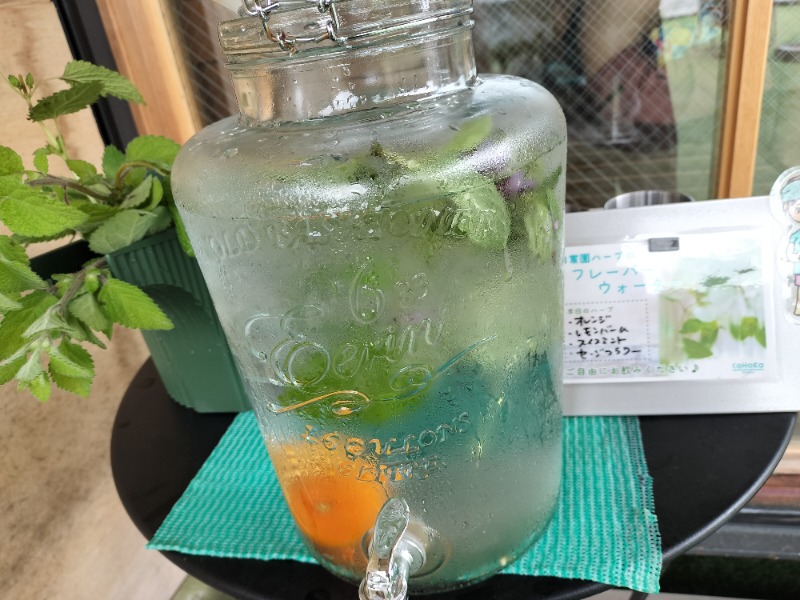 キク🌿CoHoKa（コホカ）@富山さんのGYU-YA VILLAのサ活写真