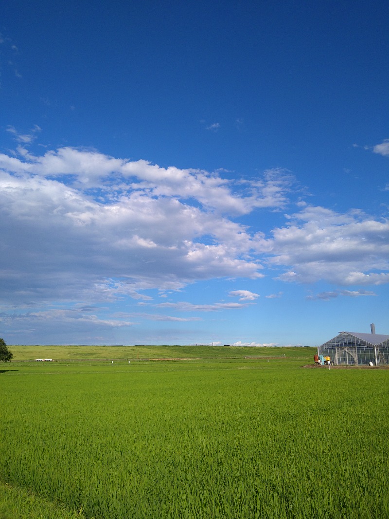 kentaroさんののだ温泉 ほのかのサ活写真