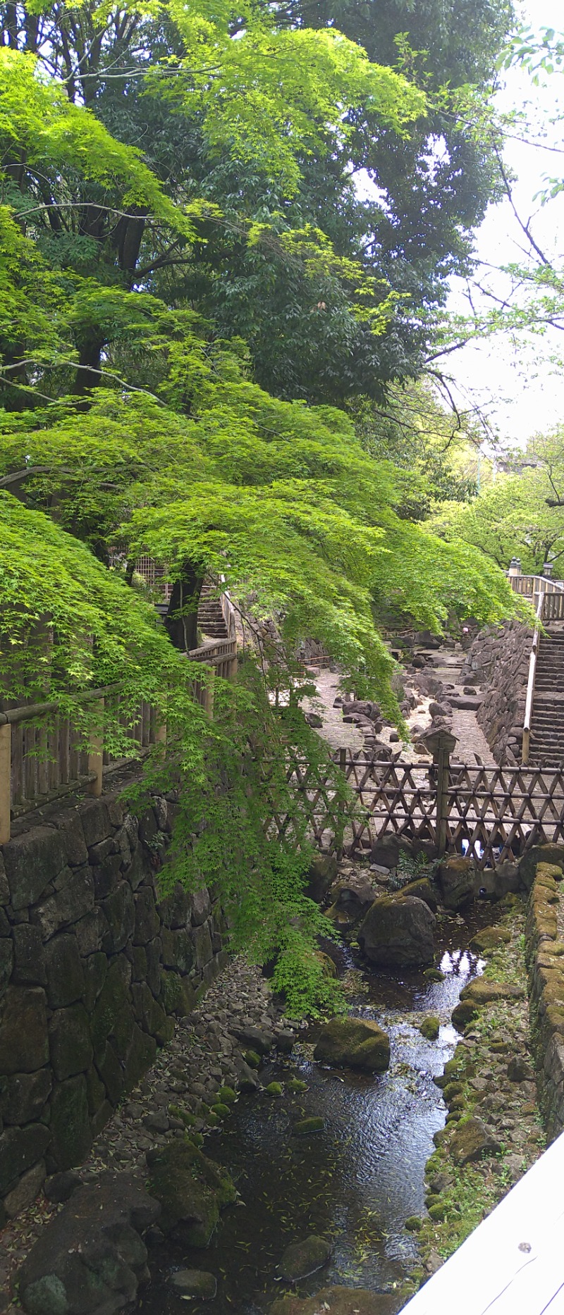 kentaroさんの飛鳥山温泉のサ活写真