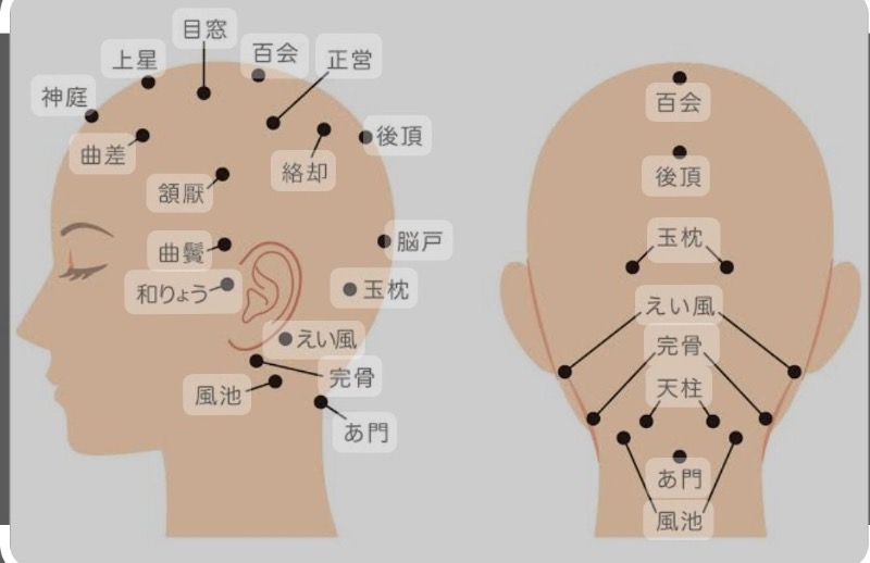 🧖‍♀️とある女子のサ活記録さんのクアパレスのサ活写真