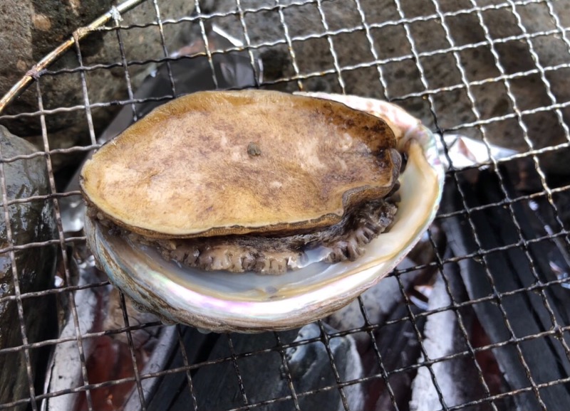 髭サウナさんの神辺天然温泉 ぐらんの湯のサ活写真