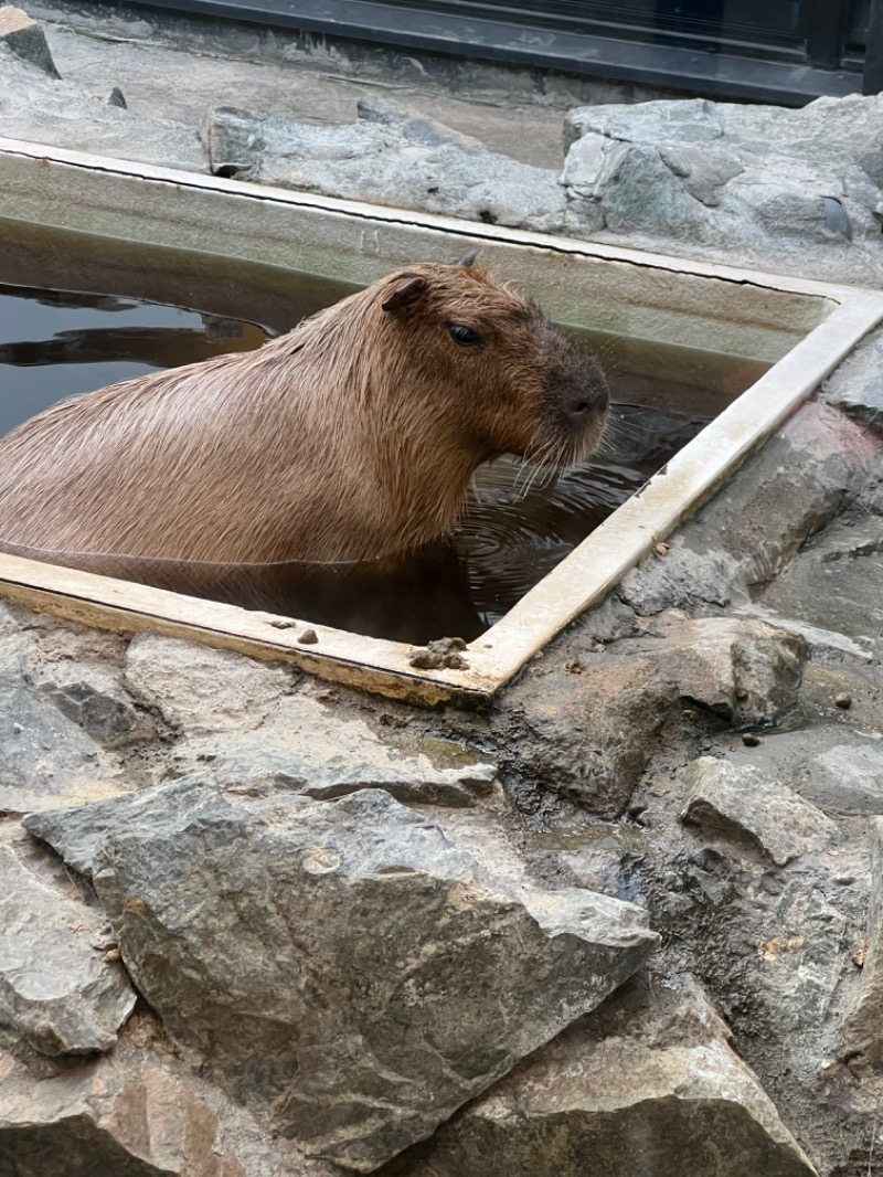 山村紅葉サウナさんの石狩天然温泉 番屋の湯のサ活写真