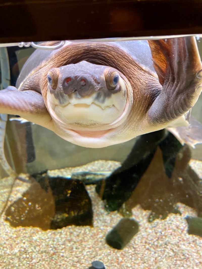 みきさんの松本湯のサ活写真