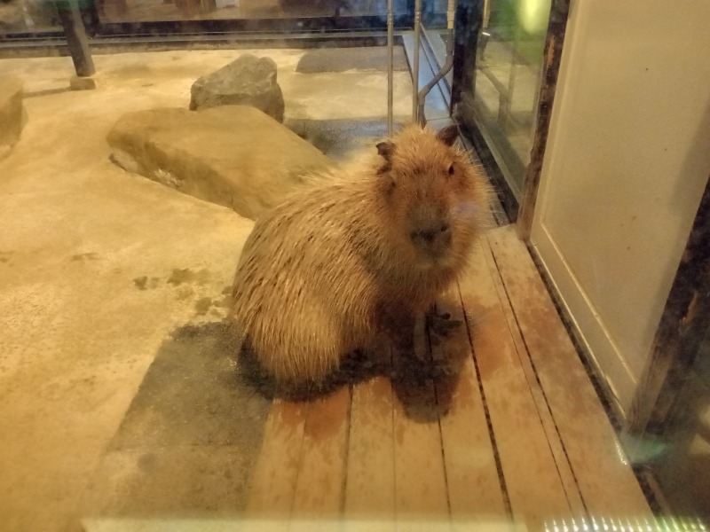 石狩天然温泉 番屋の湯 石狩市 のサ活 サウナ記録 口コミ感想 一覧6ページ目 サウナイキタイ