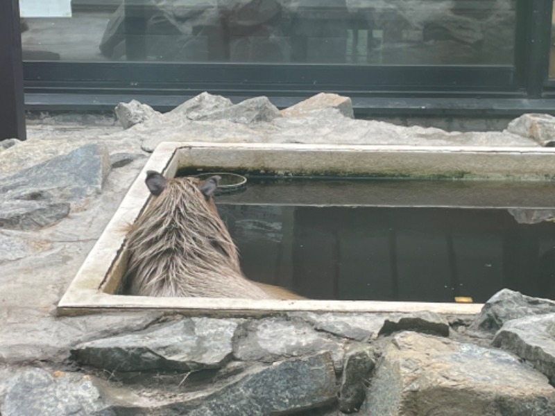 ねこの親さんの石狩天然温泉 番屋の湯のサ活写真
