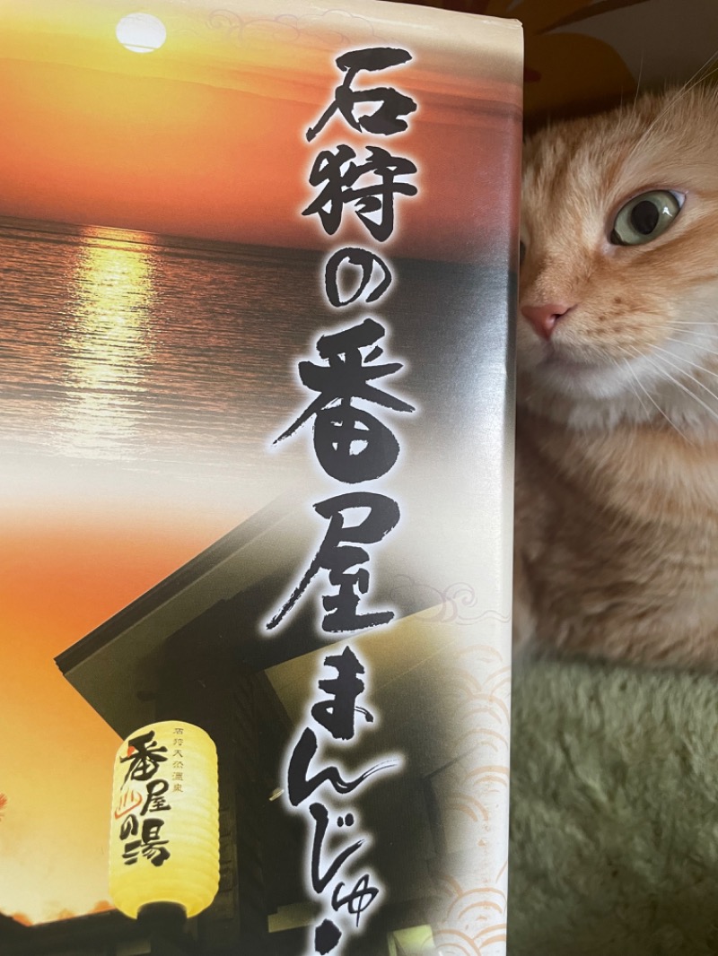 ねこの親さんの石狩天然温泉 番屋の湯のサ活写真