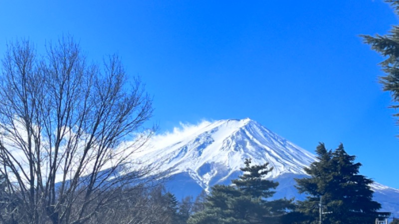 イッセーさんのふじやま温泉のサ活写真