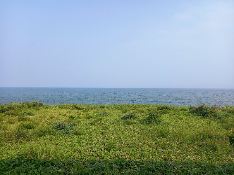 すぎっぴさんの晩成温泉のサ活写真