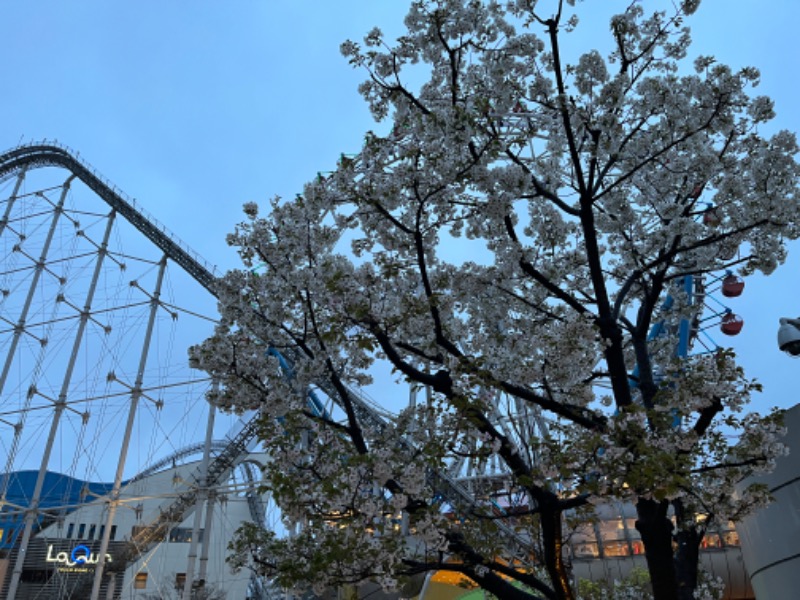 西野　丈さんの東京ドーム天然温泉 Spa LaQua(スパ ラクーア)のサ活写真