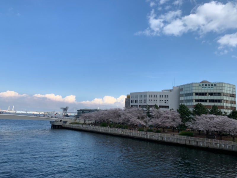 ゆき🍄さんの横浜みなとみらい 万葉倶楽部のサ活写真