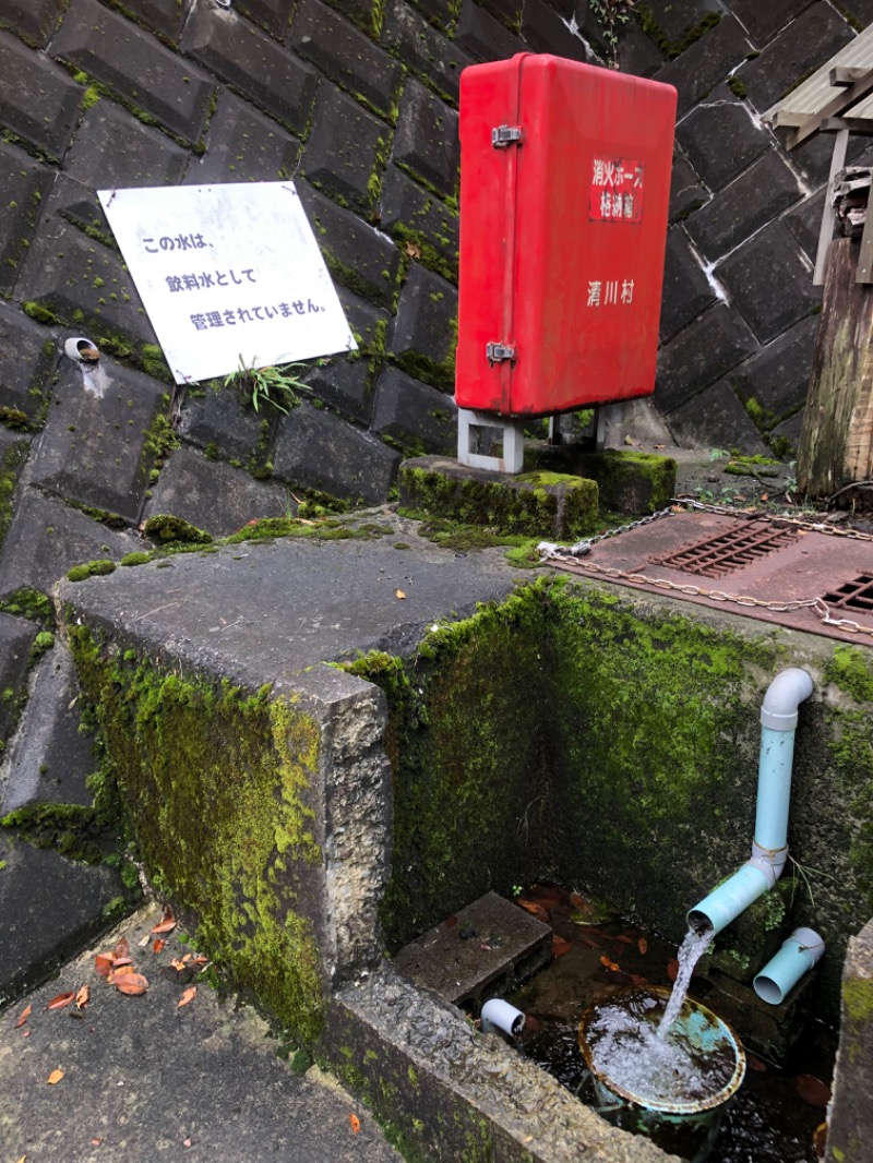 ペンギン酸さんの清川村ふれあいセンター 別所の湯のサ活写真