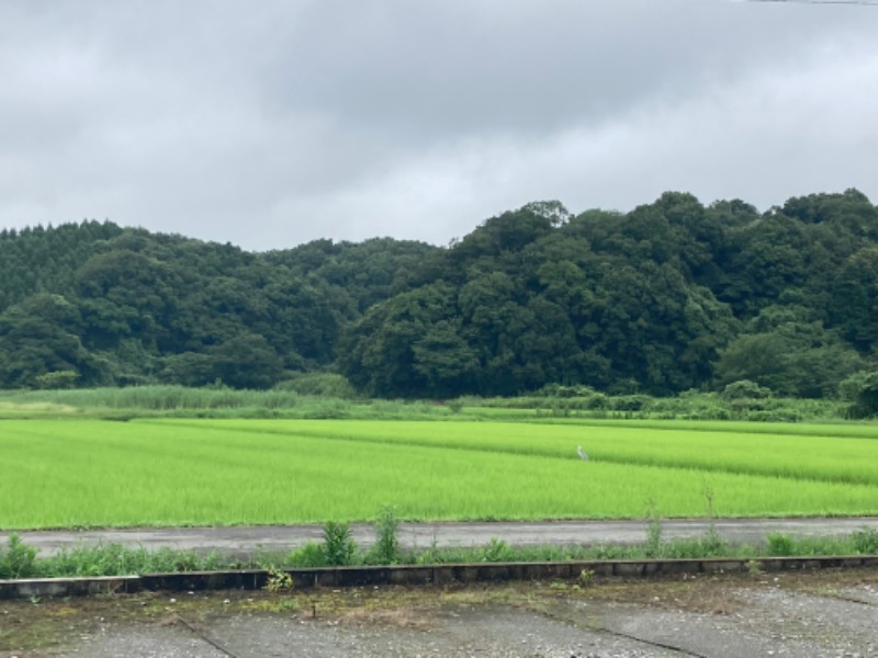 あまみんさんの成田の命泉 大和の湯のサ活写真