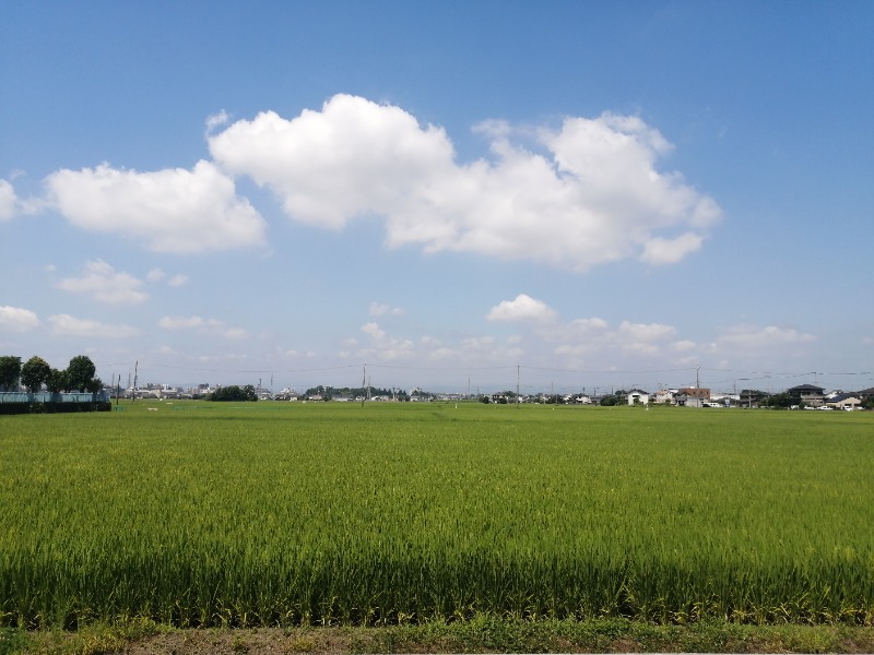 ムニさんの小江戸温泉 KASHIBAのサ活写真