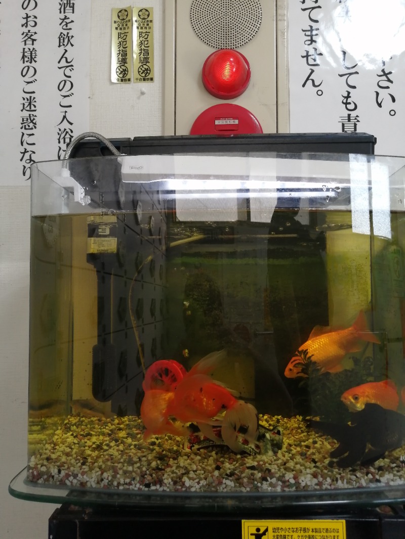 ムニさんの金の湯のサ活写真