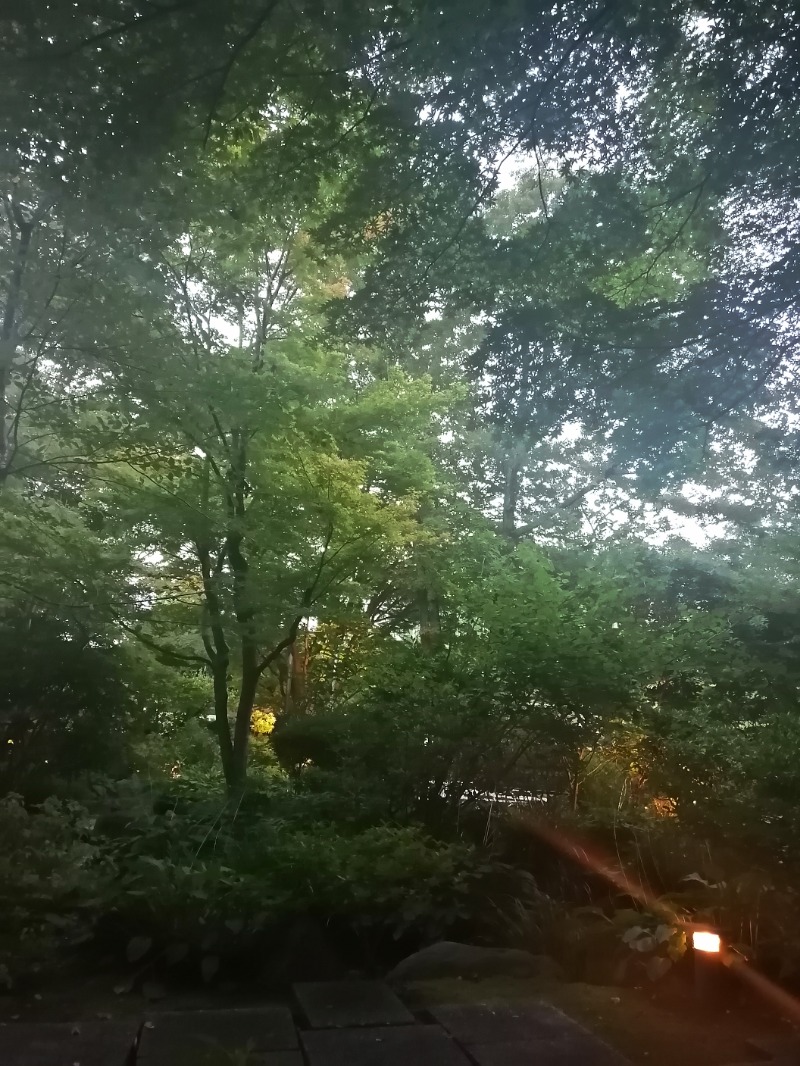 ムニさんの豊島園 庭の湯のサ活写真