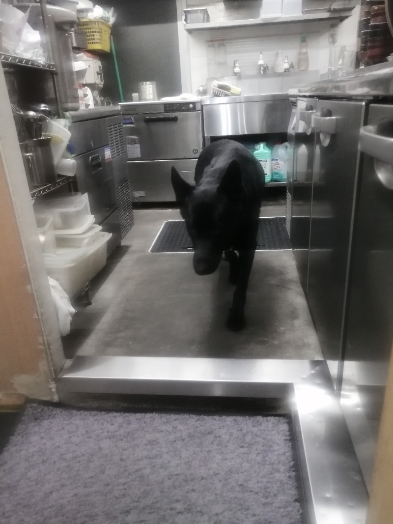 ムニさんの光明泉のサ活写真