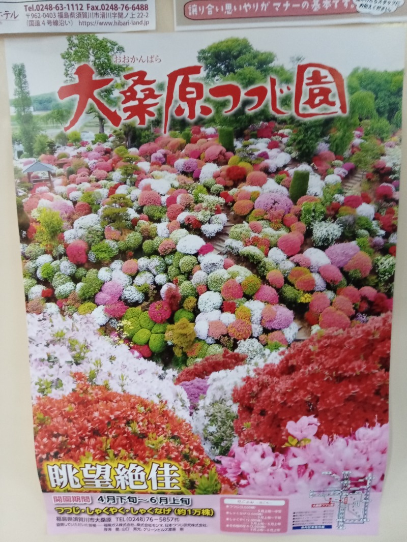 新、山崎。さんのひばり温泉のサ活写真