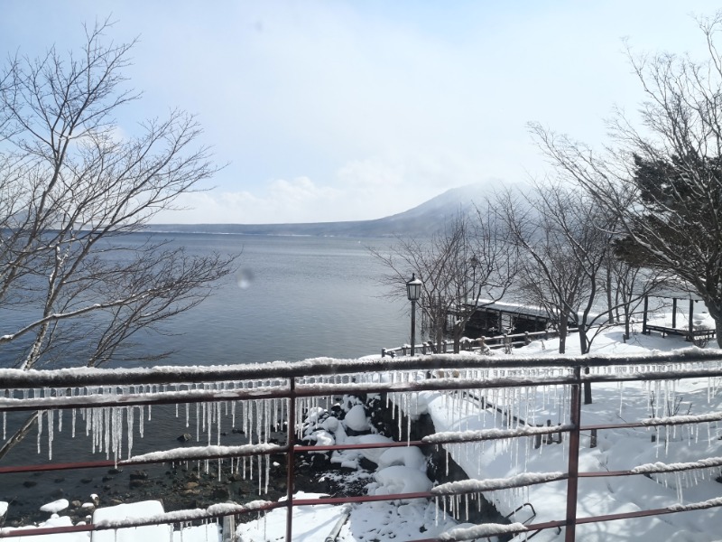 半額王子さんの湖畔の宿支笏湖 丸駒温泉旅館のサ活写真