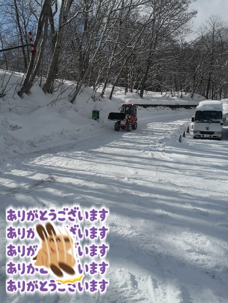 半額王子さんの湖畔の宿支笏湖 丸駒温泉旅館のサ活写真