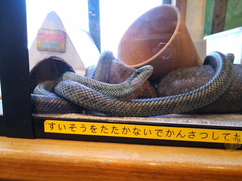 半額王子さんの湖畔の宿支笏湖 丸駒温泉旅館のサ活写真